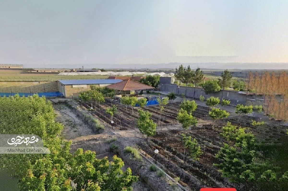 کمک ۳ خیّر مشهدی به جبهه مقاومت با اهدای زمین‌ به ارزش ۱۲ میلیاردتومان