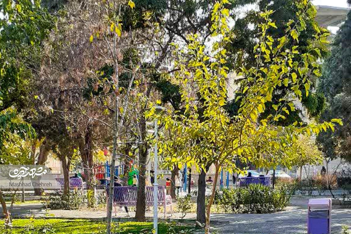 خیابان سلامتی در محله فرهنگیان