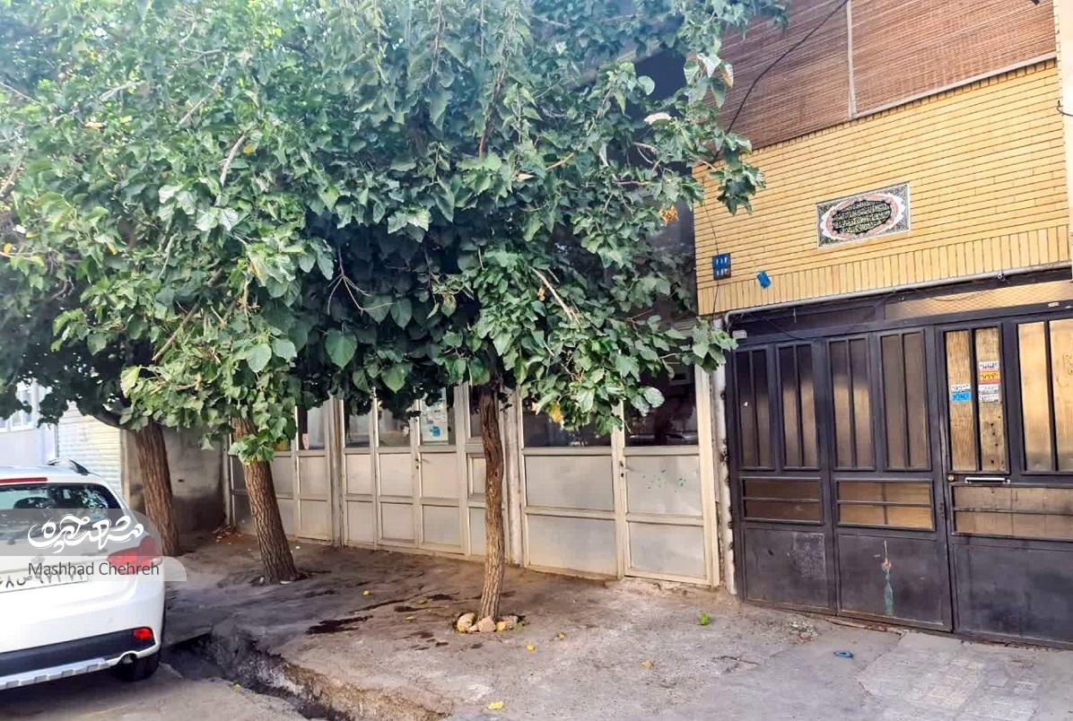 هاشمآقای آلابراهیم هنوز صدای اهالی قدیمی محلهاش را در خاطر داردنفتیه، نفت! هاشمآقای آلابراهیم هنوز صدای اهالی قدیمی محلهاش را در خاطر داردنفتیه، نفت!