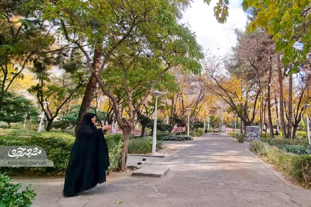 خاطرات نخستین ساکن خیابان شریف ۱۵ از محله‌ای که تا ۴۰ سال قبل بیابانی سوت و کور بود