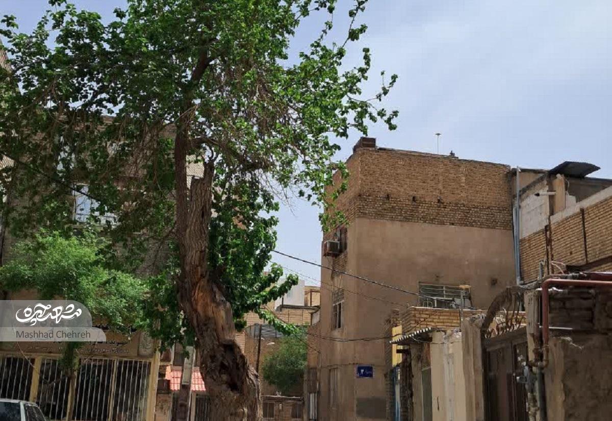 نشانههای مانده از قلعه نخودک نشانههای مانده از قلعه نخودک