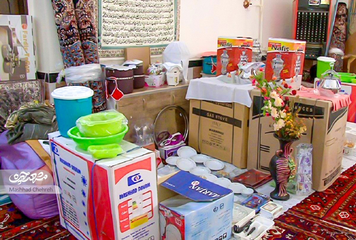گلخانهدارها رفتند، درختهایشان ماند گلخانهدارها رفتند، درختهایشان ماند