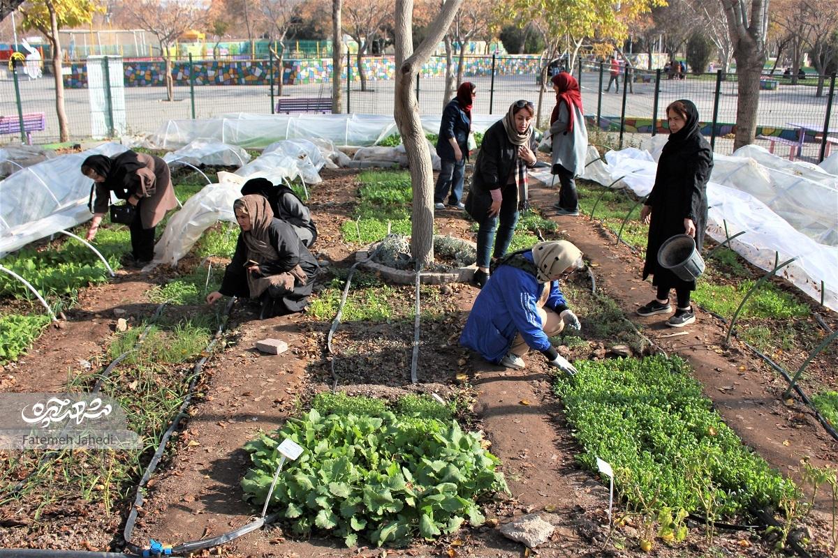 مزرعه کشاورزی اندیشه، جایی است که به اهالی حس تعلق خاطر داده است