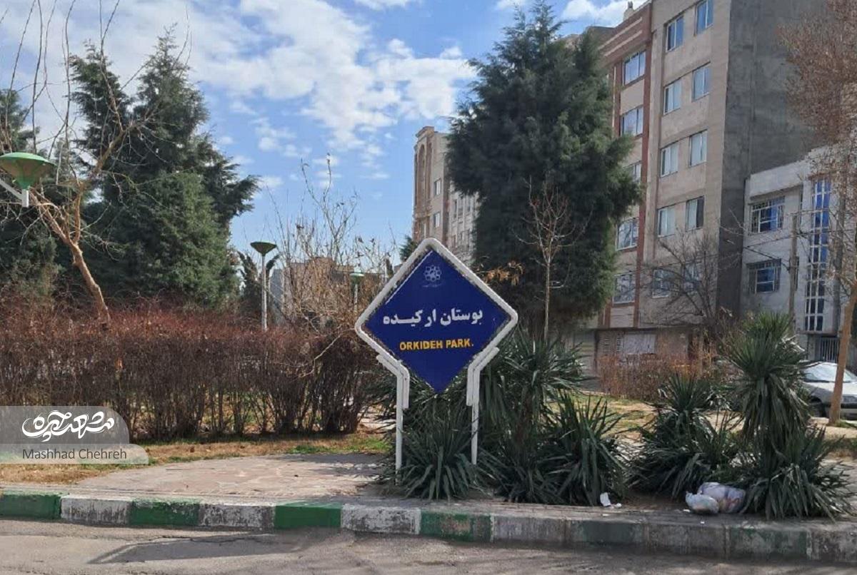 کوچه هنرستانی ها