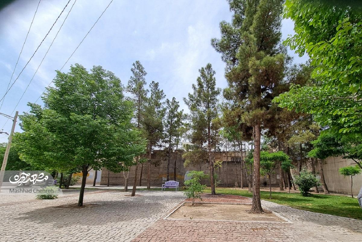 معصومه‌خانم نخستین ساکن آموزگار ۷۴ از روز‌هایی می‌گوید که نشانی منزلش در میان آن‌همه زمین خالی سرراست بودخانه‌ای با پنجره حصیری