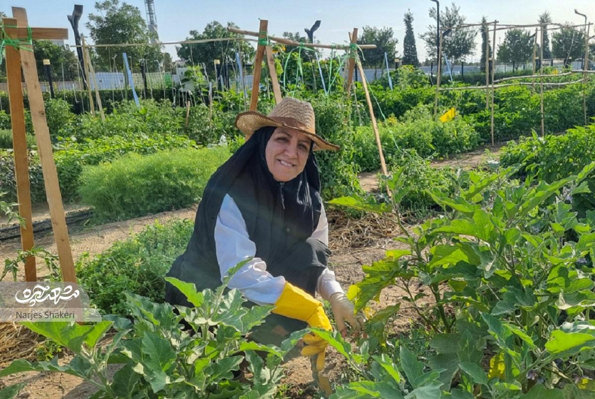 بوستان برکت؛ مزرعه‌داری در دل شهر