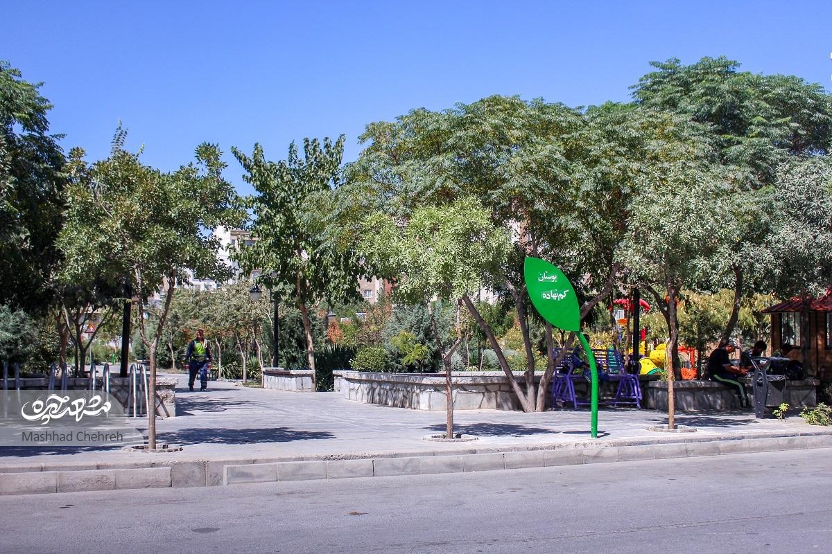 امیریه ۶؛ معبری با بازارمحله پر جنب‌وجوش
