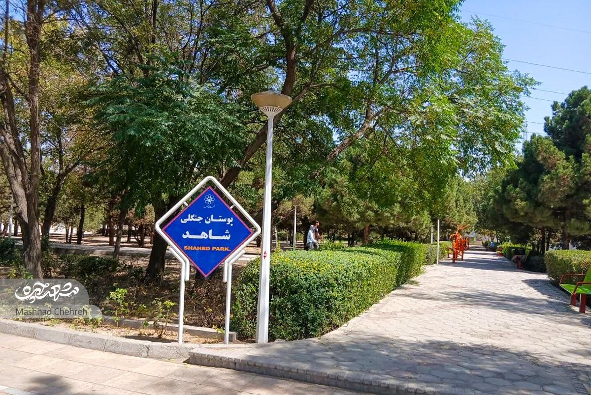 حجاب ۵۲؛ کوچهای برای قدکشیدن حجاب ۵۲؛ کوچهای برای قدکشیدن