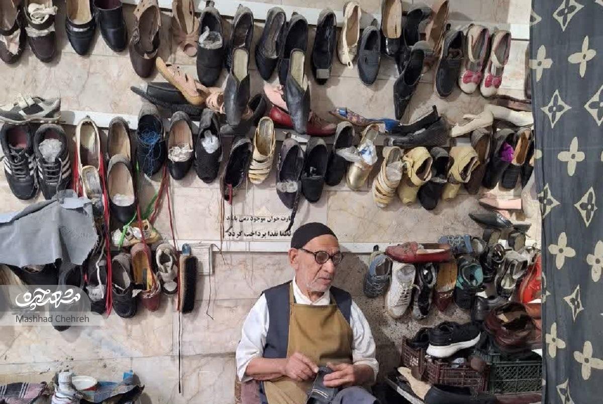 دلتنگیهای کفاش پیر برای باغمزار کاشمر دلتنگیهای کفاش پیر برای باغمزار کاشمر