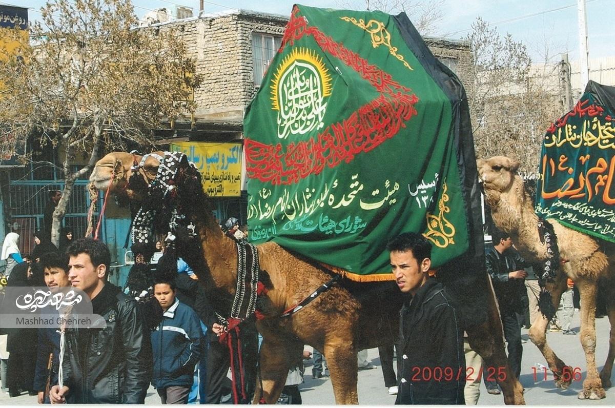 جان‌نثــــــــاران امام‌رضا (ع) ۳۰ سال است زیر عَلَم شاه رجب صدا می‌زنند