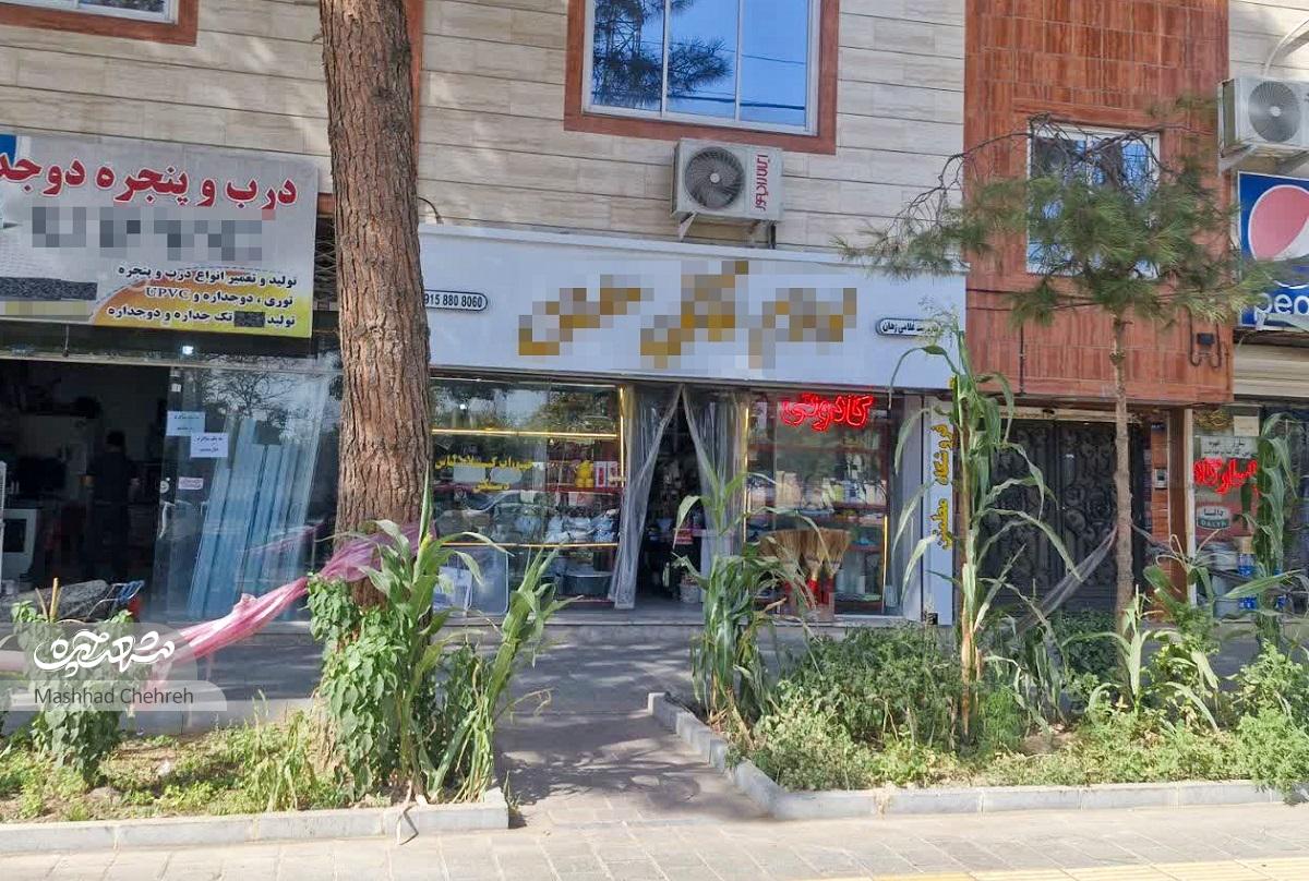 غلامیزهانی از خاطره سکونت 30ساله در کوچه شهیداصلانی97 میگویدکاشتن درخت توت برای همه همسایهها غلامیزهانی از خاطره سکونت 30ساله در کوچه شهیداصلانی97 میگویدکاشتن درخت توت برای همه همسایهها