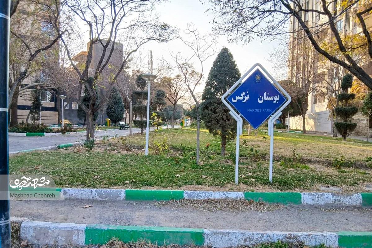 باغبانی همسایه‌ها در یک معبر