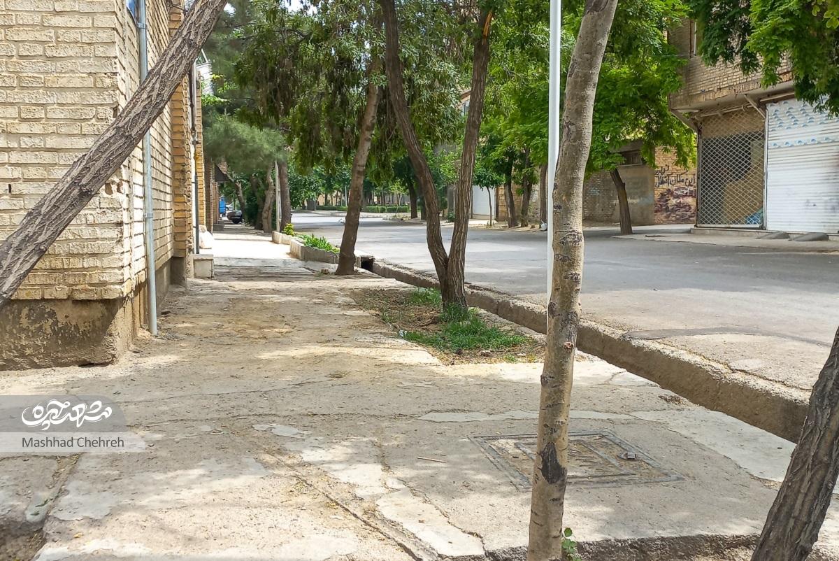 قدمت باصفای کوچهای در مهرمادر قدمت باصفای کوچهای در مهرمادر