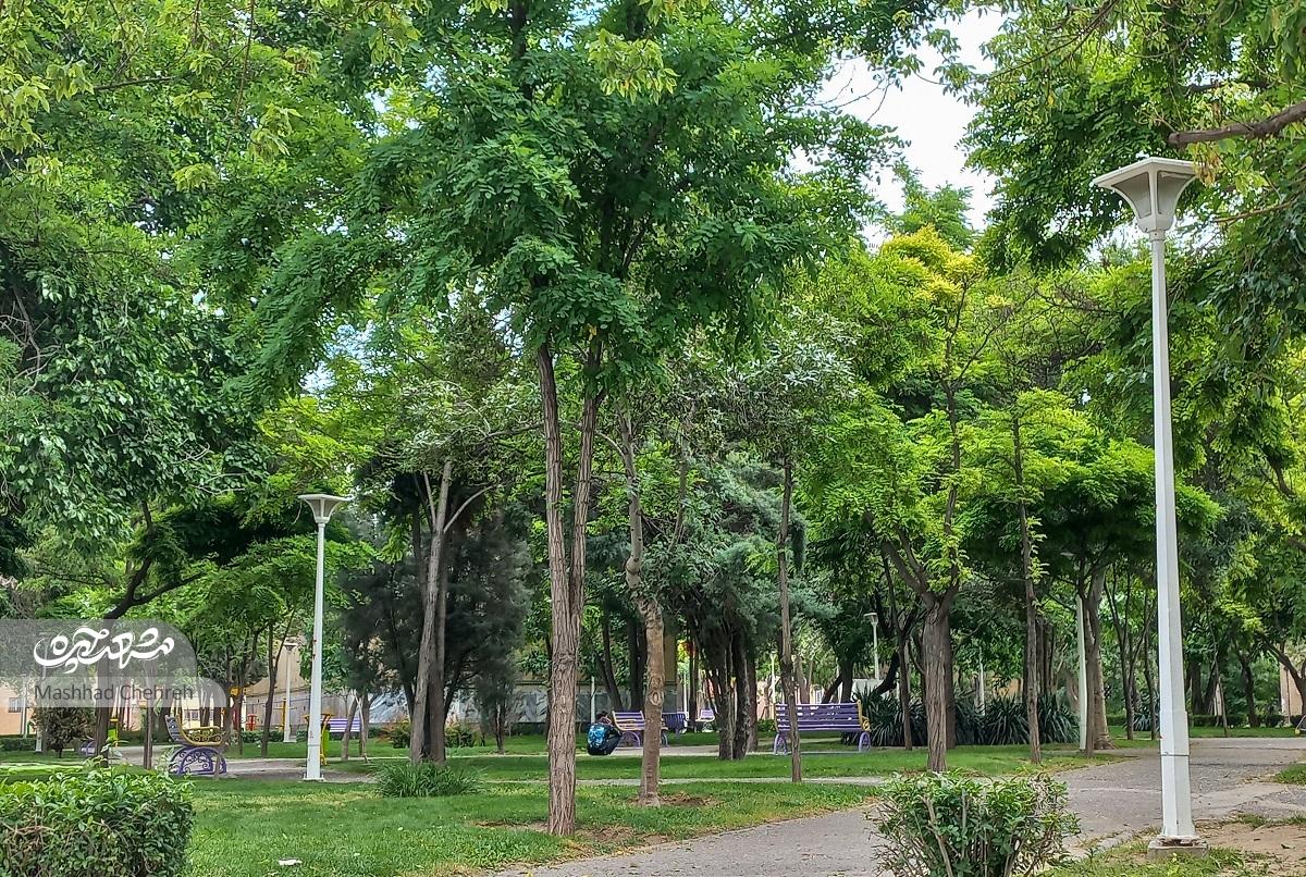 قدمت باصفای کوچهای در مهرمادر قدمت باصفای کوچهای در مهرمادر