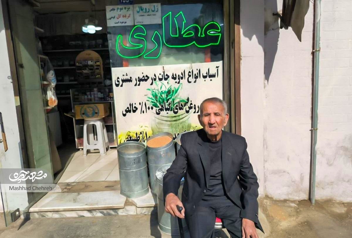 کوچه صدف ۱۷؛ یادگار سبز گذشته