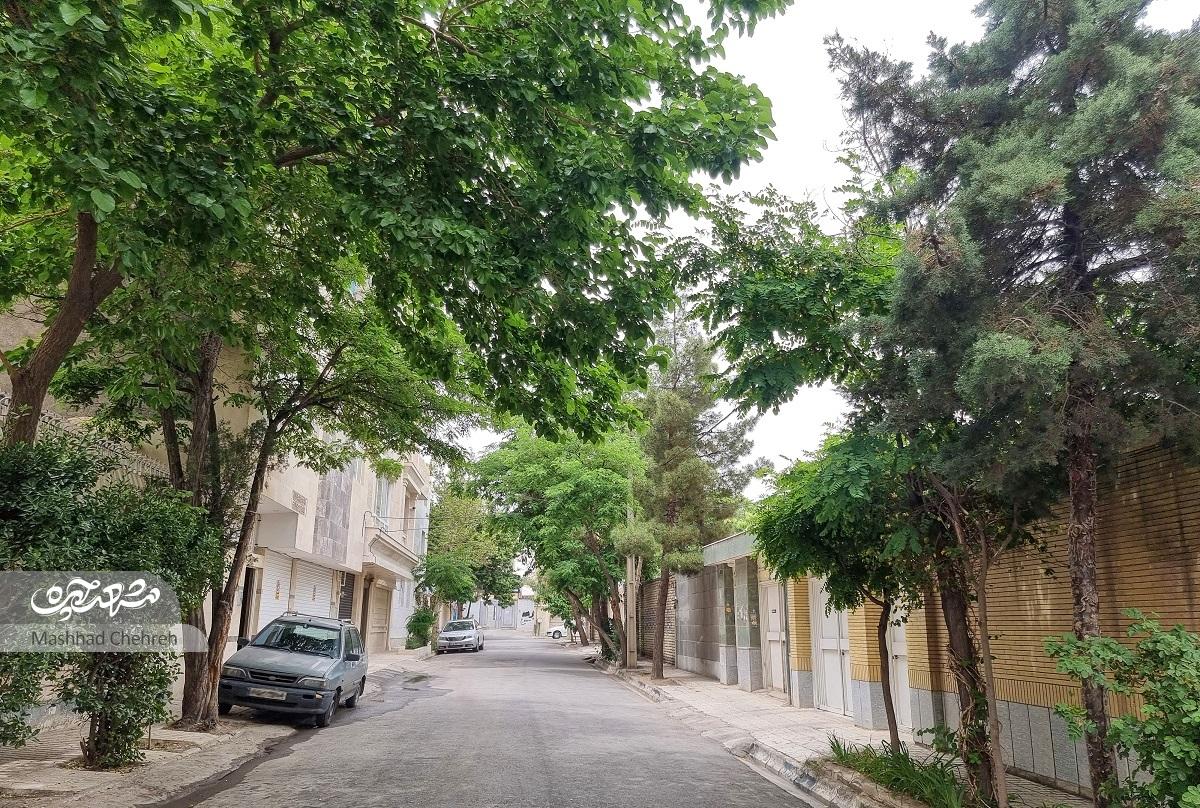 میراث حاجی‌ زرگر برای دانش‌آموزان