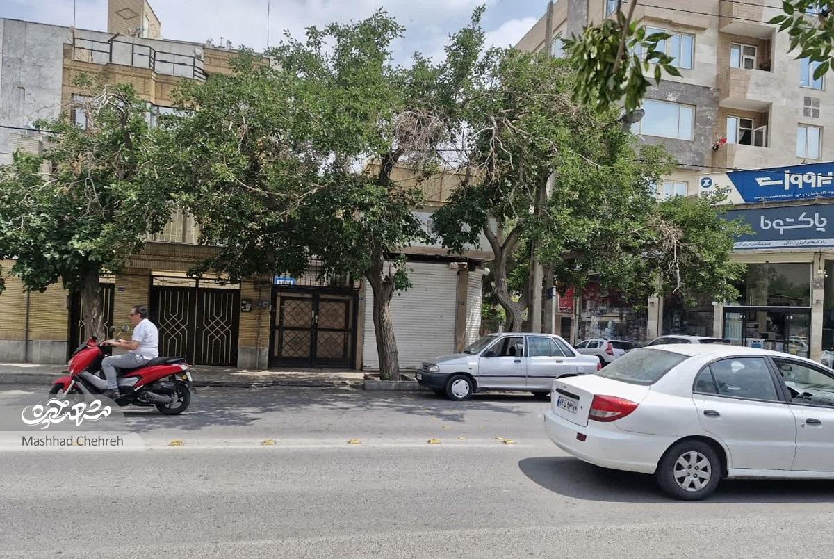 کودکی رامین شاهینفر در دهه ۶۰ با محله هفدهشهریور گره خورده است کودکی رامین شاهینفر در دهه ۶۰ با محله هفدهشهریور گره خورده است