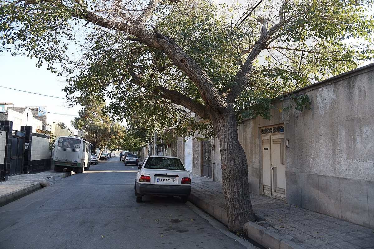محله رضاییه