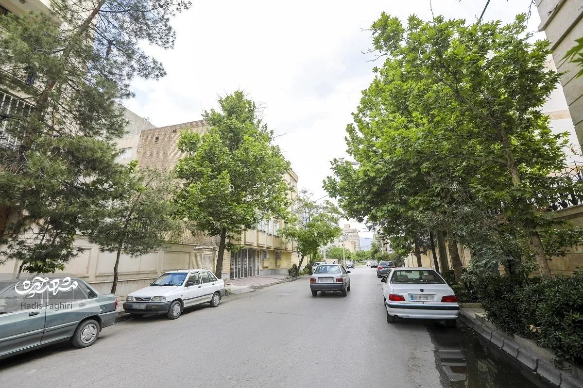 کوچه فرهنگی‌نشینان دانشجو