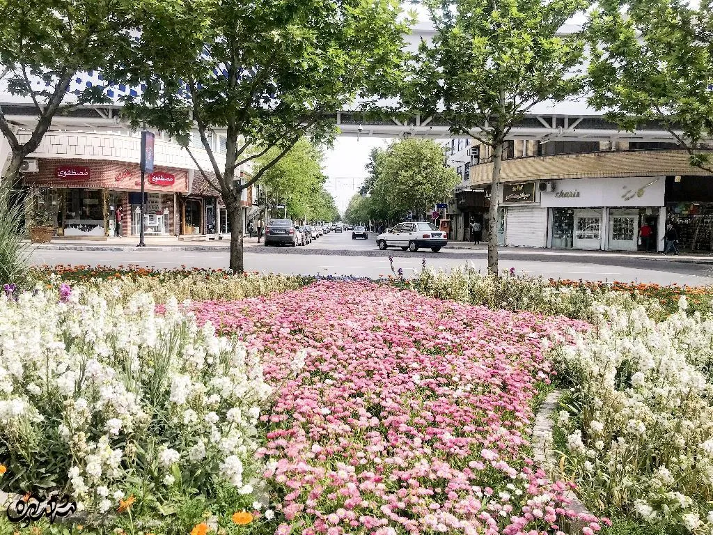 محله راهنمایی