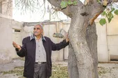 از زمستان سرد &laquo;جیگی&zwnj;جیگی&raquo; تا گرمی شب چله