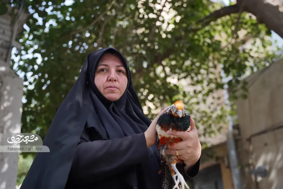 الهه کاظمیان با تماشای سریال یانگوم به درآمدزایی رسید