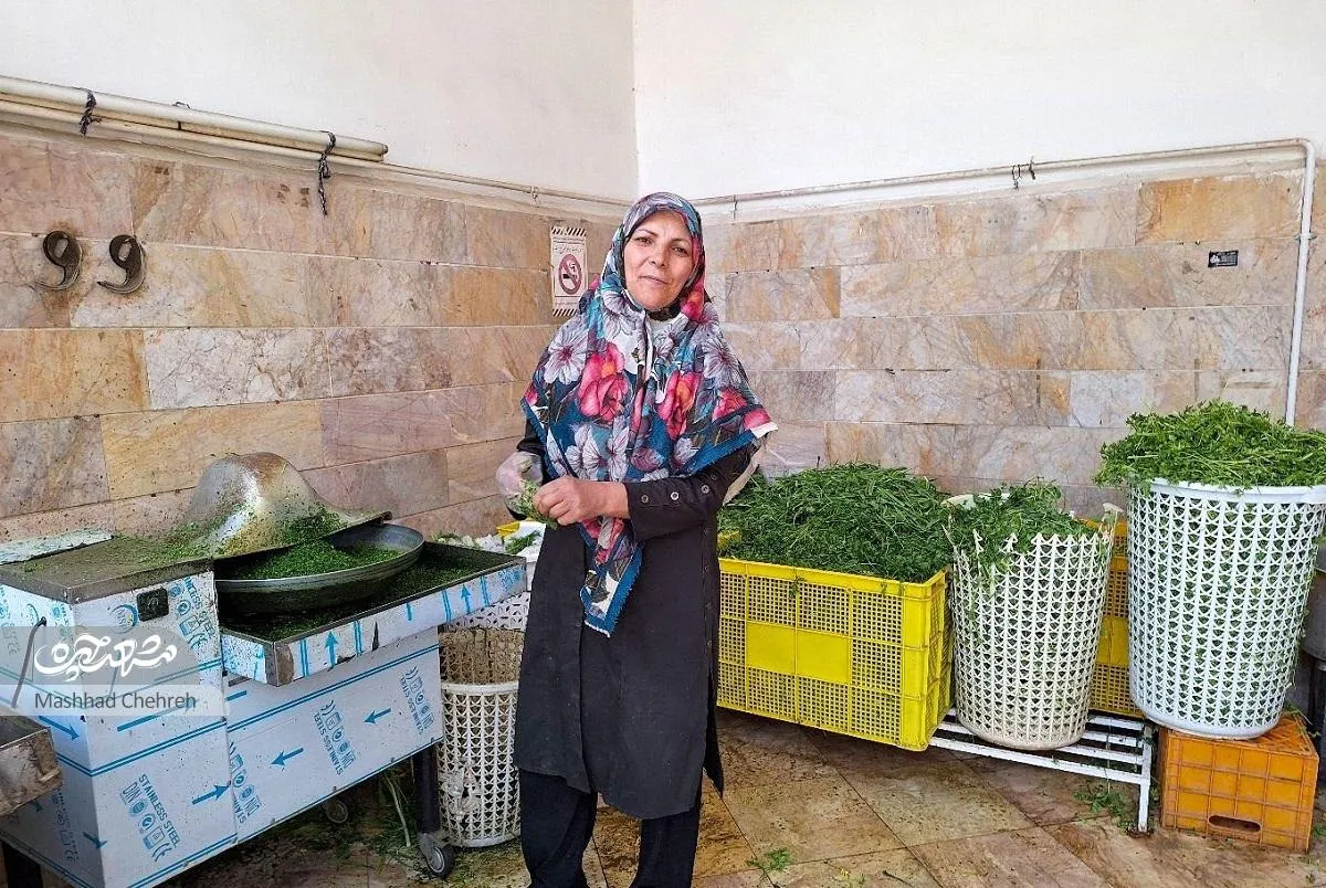 روز‌های سبز بی‌بی
