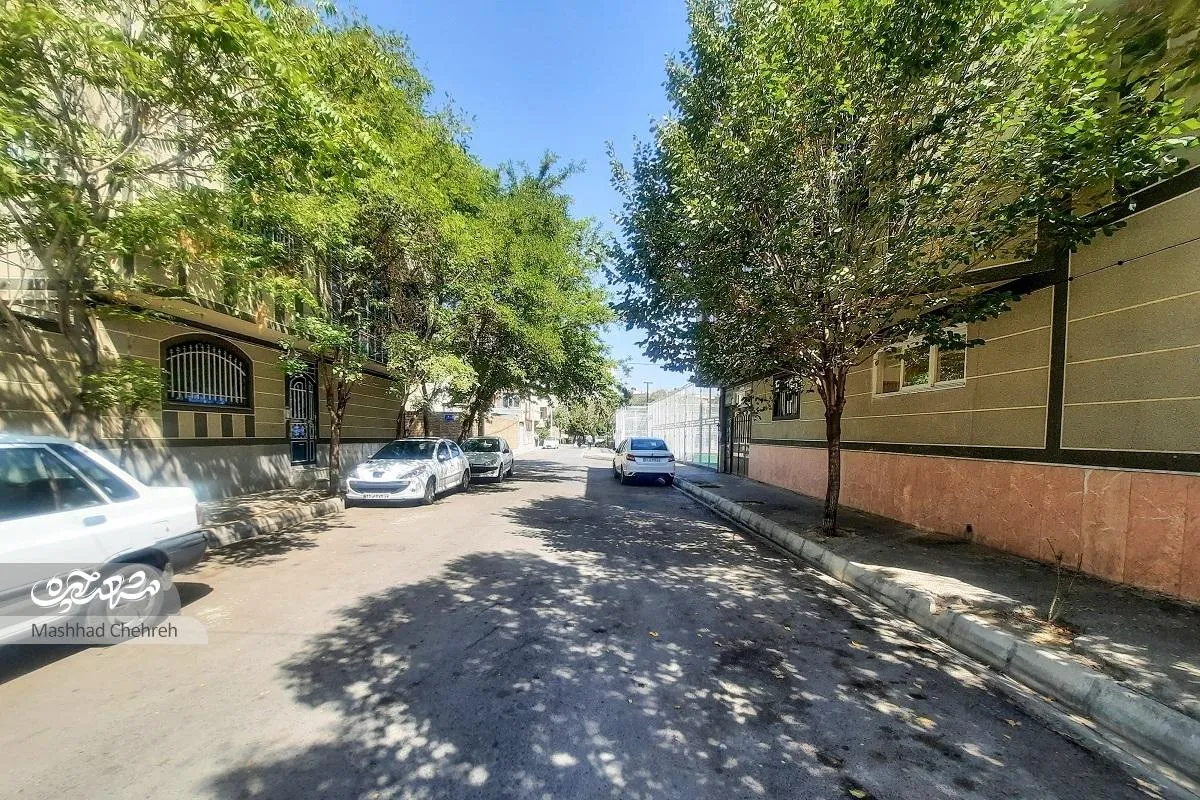 بوستان گل‌خطمی یادگار سبز یک روستای قدیمی