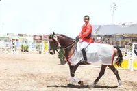 اسب از ۵ سالگی دوست نجیب امیر آیت‌اللهی است