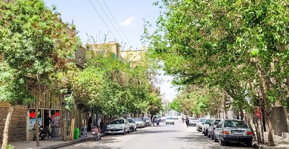 کوچه‌ای با ۴ مدرسه در محله انقلاب