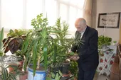 مهر مشهدی&zwnj;ها به موذن قدیمی مسجد گوهرشاد
