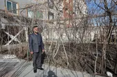 ذخیره آب باران برای آبیاری درختان مجتمع مسکونی