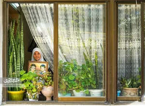 حسرت آخرین خداحافظی برای مادر شهیدان صفدری‌نژاد