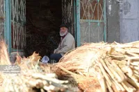 تلگرد؛ قلعه جاروباف‌ها