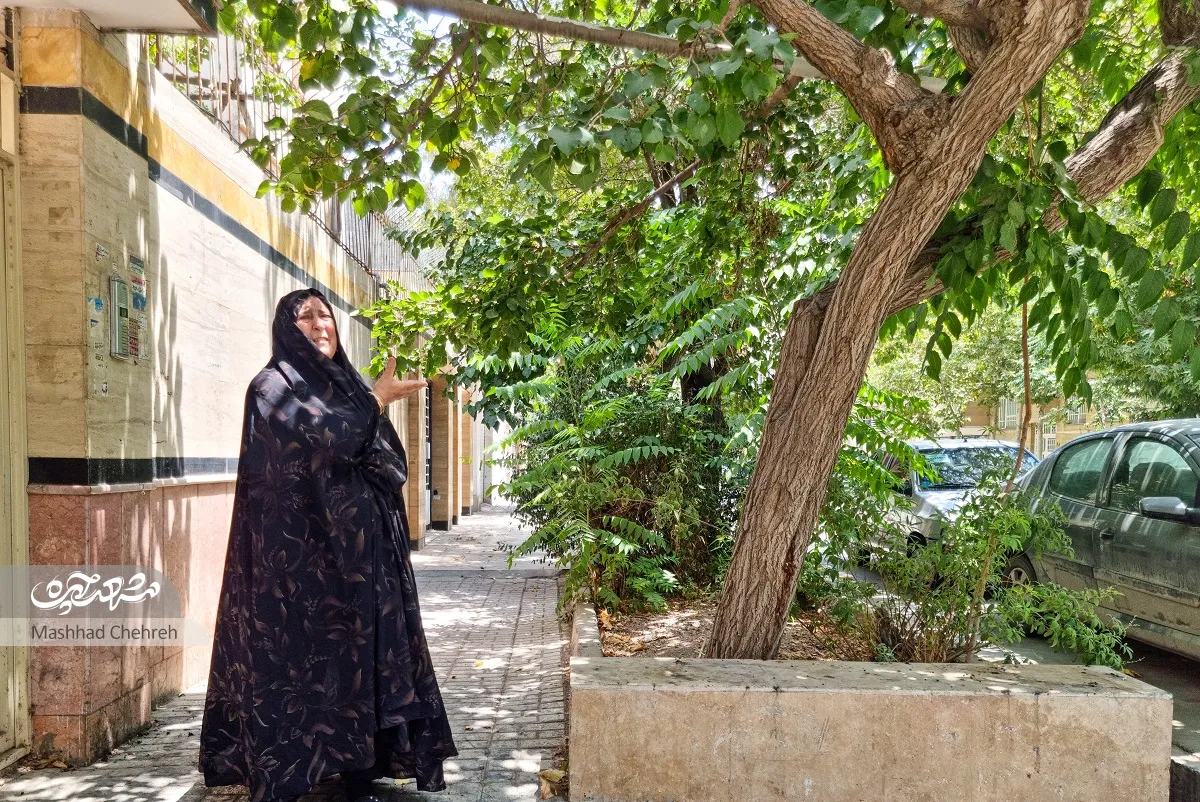 محله گردی