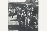 کچلی؛ بیماری سمجی که سال‌ها طول کشید تا در مشهد ریشه‌کن شود