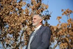 محمد ایستاده پای انقلاب