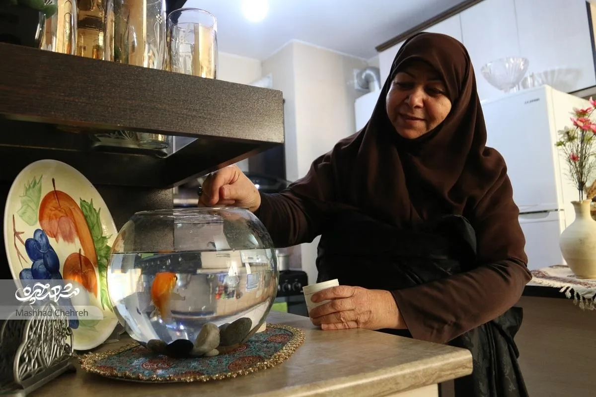 کارآفرینی با قارچ کفیر!
