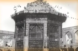 کبوتر‌ها کی به آستان حضرت رضا (ع) آمدند؟