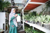 طبیعت در خانه نُقلی