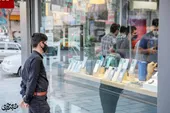 همراهان پر طرفدار