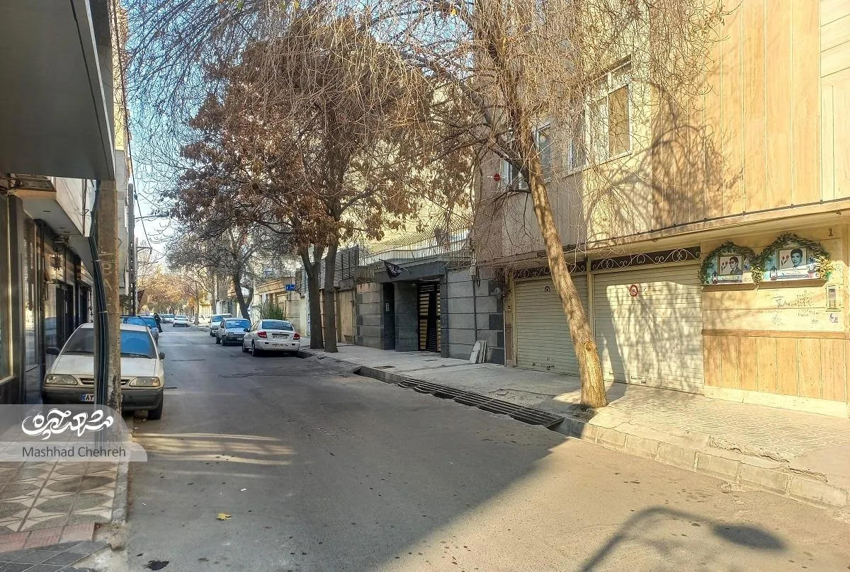 هاشمی‌نژاد ۲۴ کوچه مادر و پسر شهید