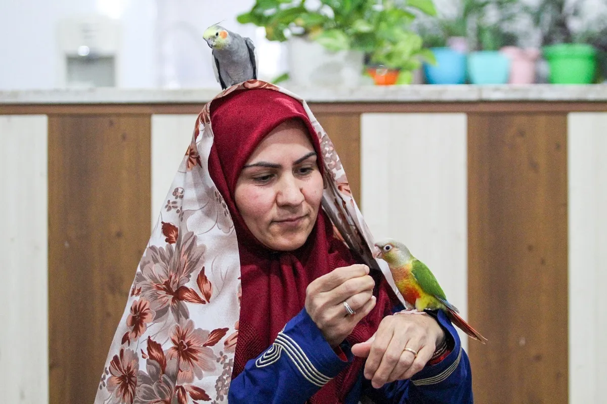 زندگی با مرغ عشق‌ها