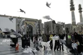 زائران تا مشتی گندم برای کبوتران نمی&zwnj;ریختند از خدا روزی طلب نمی&zwnj;کردند