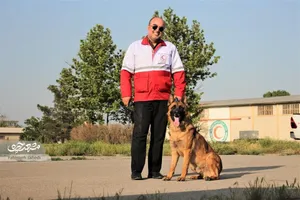 img-profile-author