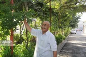 کوچه باغ صمیمیت در کوی پلیس