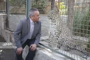 بابای «ارس» چشم حیات وحش خراسان