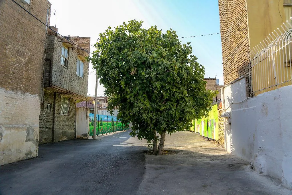 خاطرات کوچه دوازدهم در تپل‌محله 