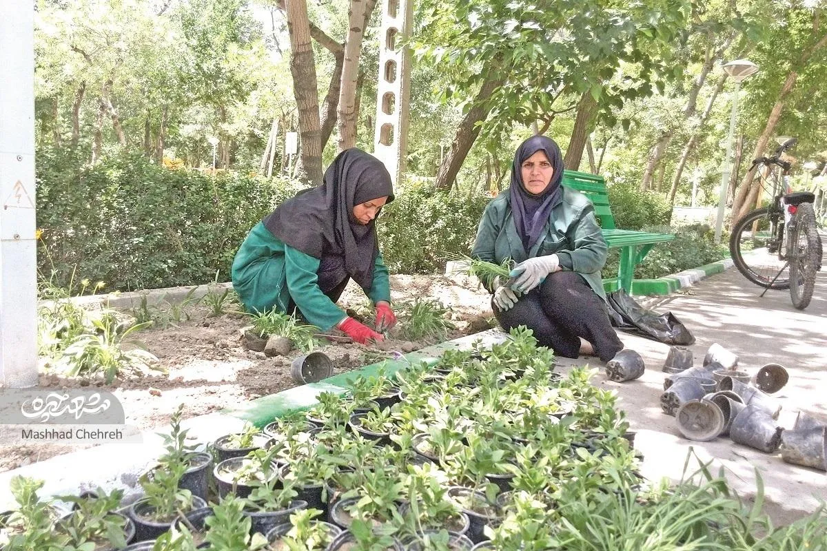 زنان سبز بوستان