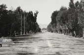 تغییرات خیابان &laquo;شاهرضا&raquo; در مسیر زمان